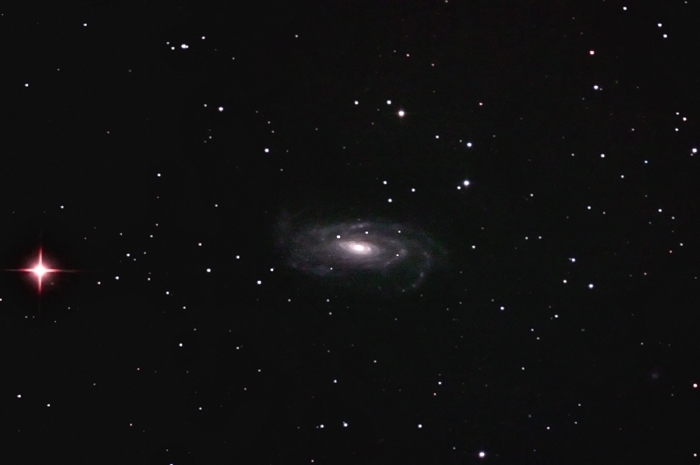 NGC 5033; mag 10.7; size 10.5x5.1'; Canon 60Da; exp: 51-min (21x90s @ISO1600; 20x60s @ISO3200); Orion 10 @f/3.9; 5-11-12; Kent Island, MD
