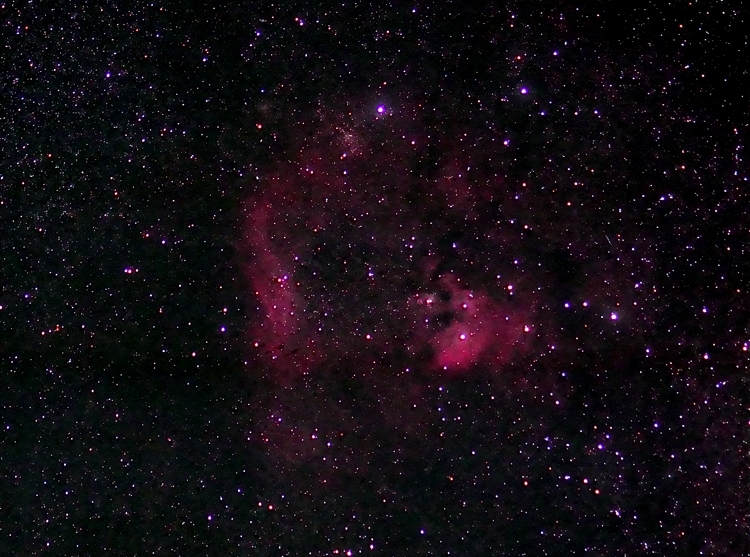 NGC7822; mag ?; size 90x20'; exp 33-min(11 180sec subs); 60Da @ISO1600; Sigma lens @100mm; f/4.0; 9-4-13; Cherry Springs