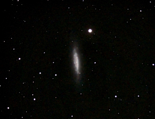NGC 6503