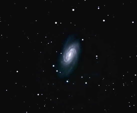 NGC2903; mag 10; size 11.5 x 4.2'; 32 min (64x30s); LX200 10 @f/2.4; ISO 1600; IDAS; 3-27-11; Coyle