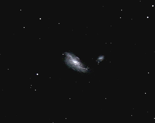 NGC4490/4485 (Cocoon Galaxy); mag 9.8; size 6x3'; 19 min (38x30sec); LX200 10 @f/2.4; ISO 1600; IDAS; 6-18-07; Coyle