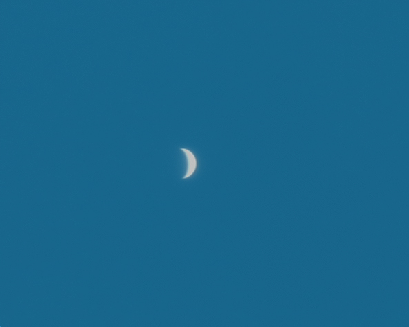 Daytime shot of Venus; C6 @f/4.8; iOptron mount unquided; 60Da in movie mode cropped; 2-19-17